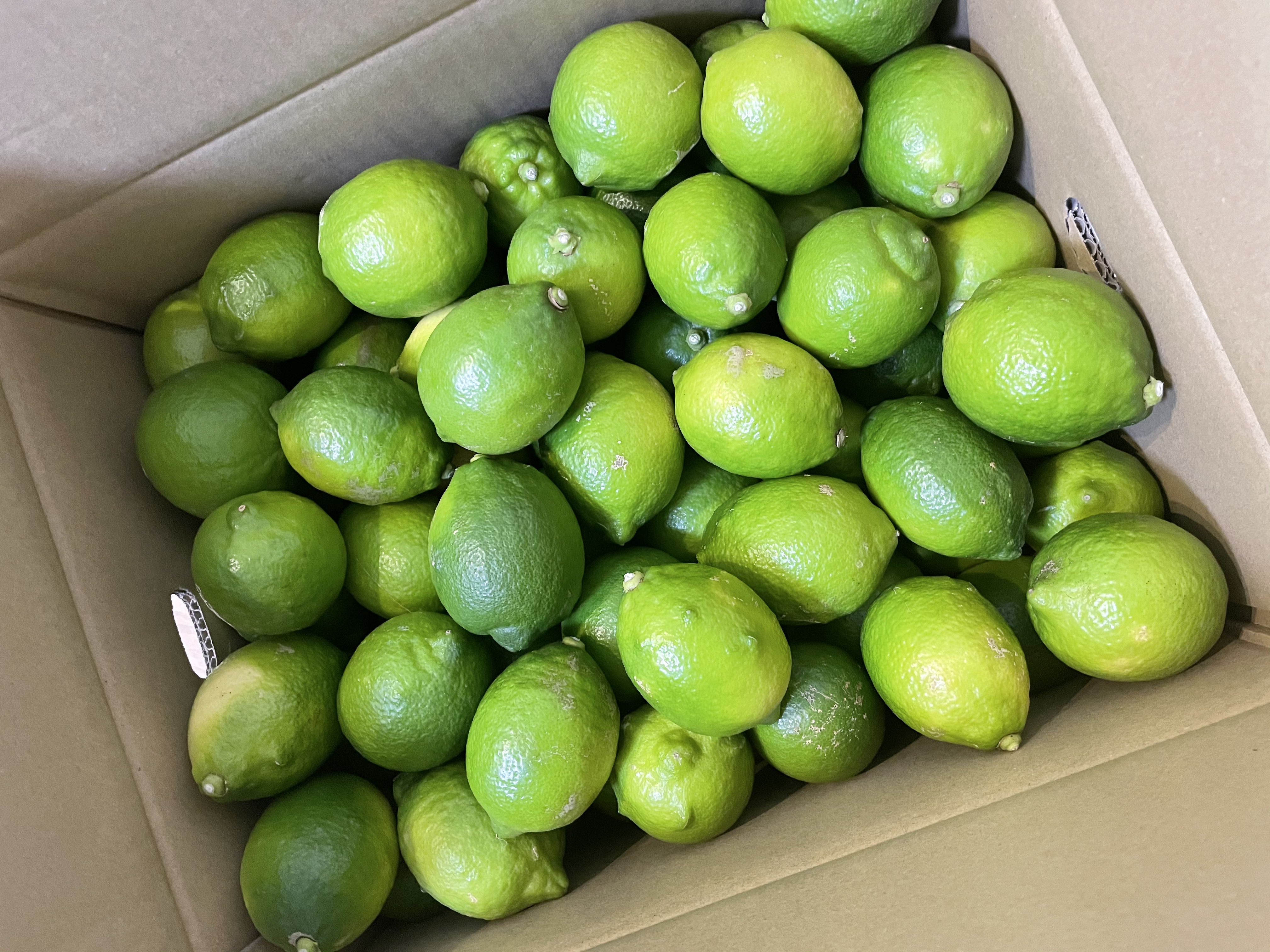 無農薬グリーンレモンが届きました🍋