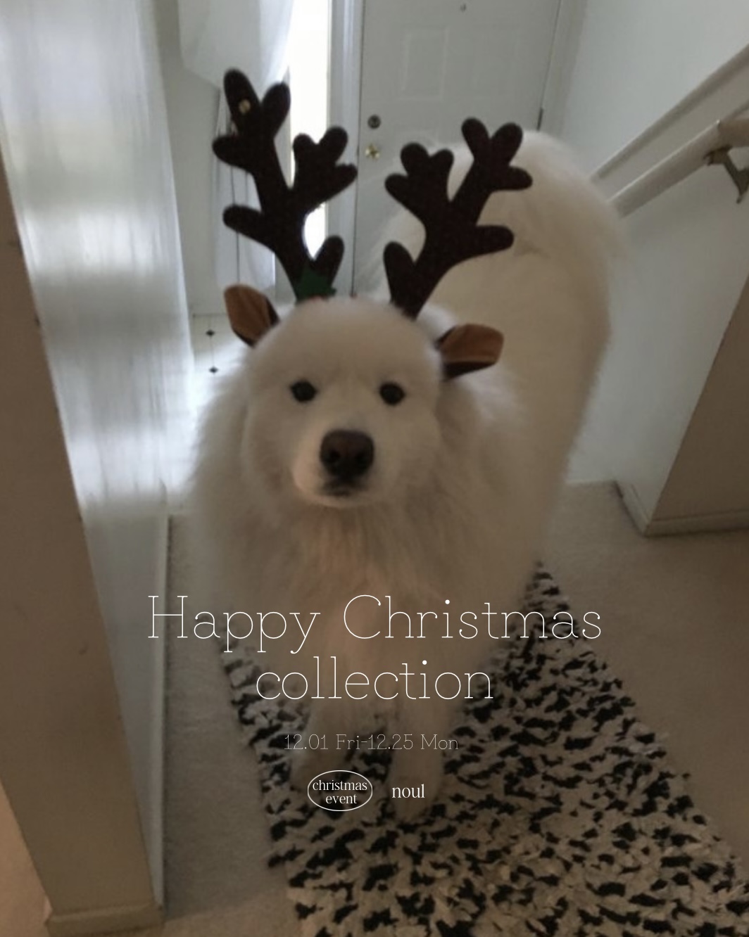 \ 𝟐𝟎𝟐𝟑 𝐧𝐨𝐮𝐥 𝐜𝐡𝐫𝐢𝐬𝐭𝐦𝐚𝐬🎄/ christmas collection open🤍