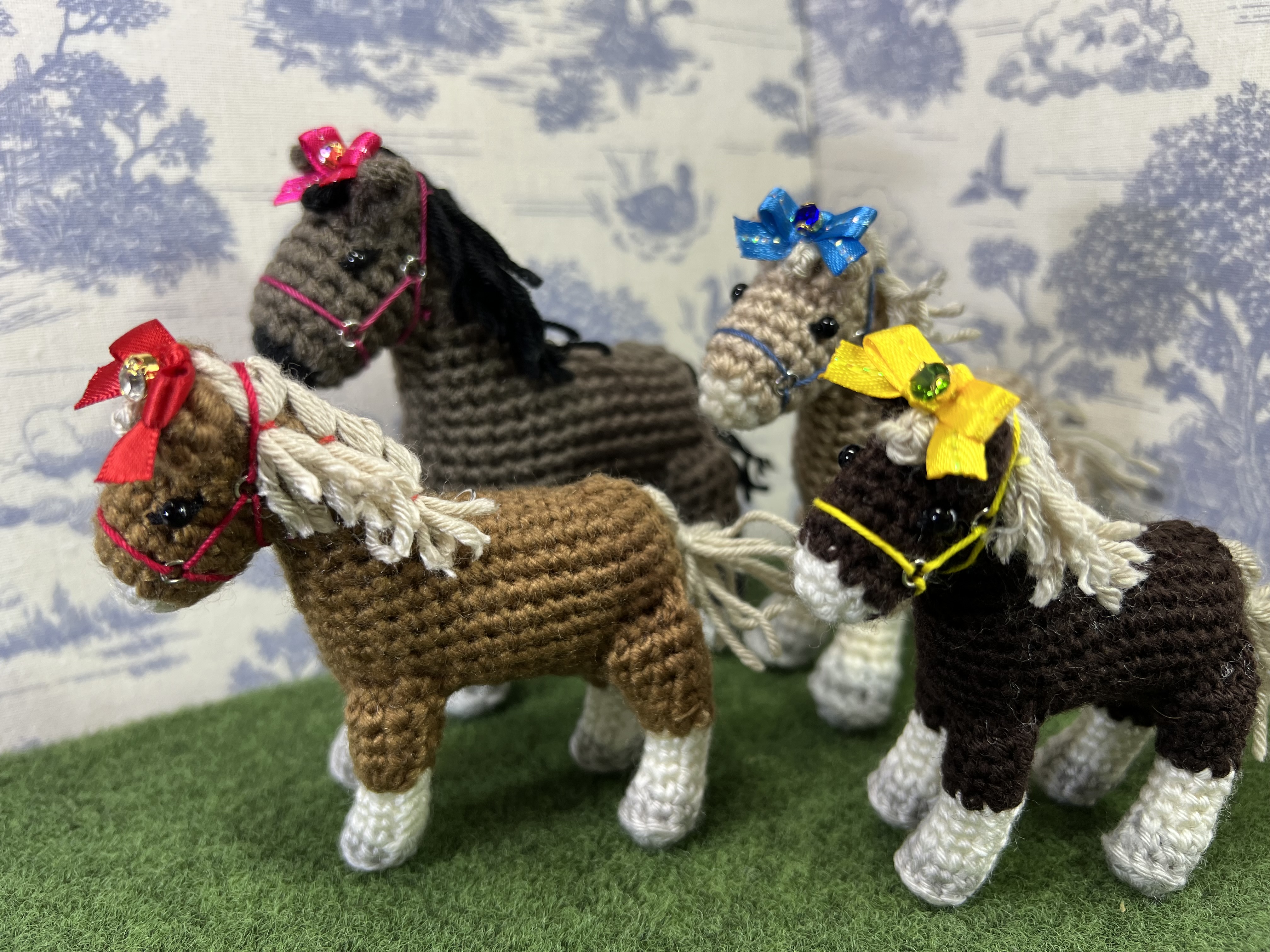 2026.1.24 帯広競馬場　入厩予定