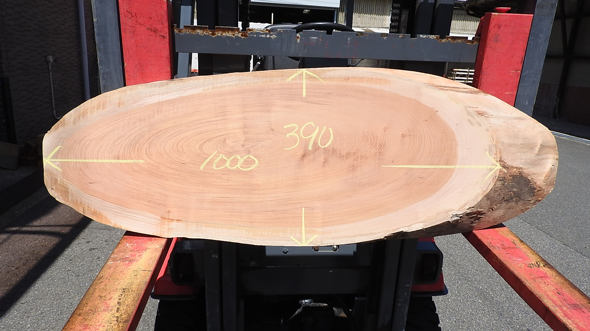 欅の輪切りを載せました!看板にどうですか。