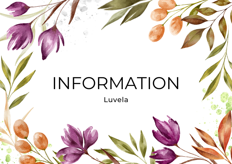 ご購入前に必ずご一読ください。