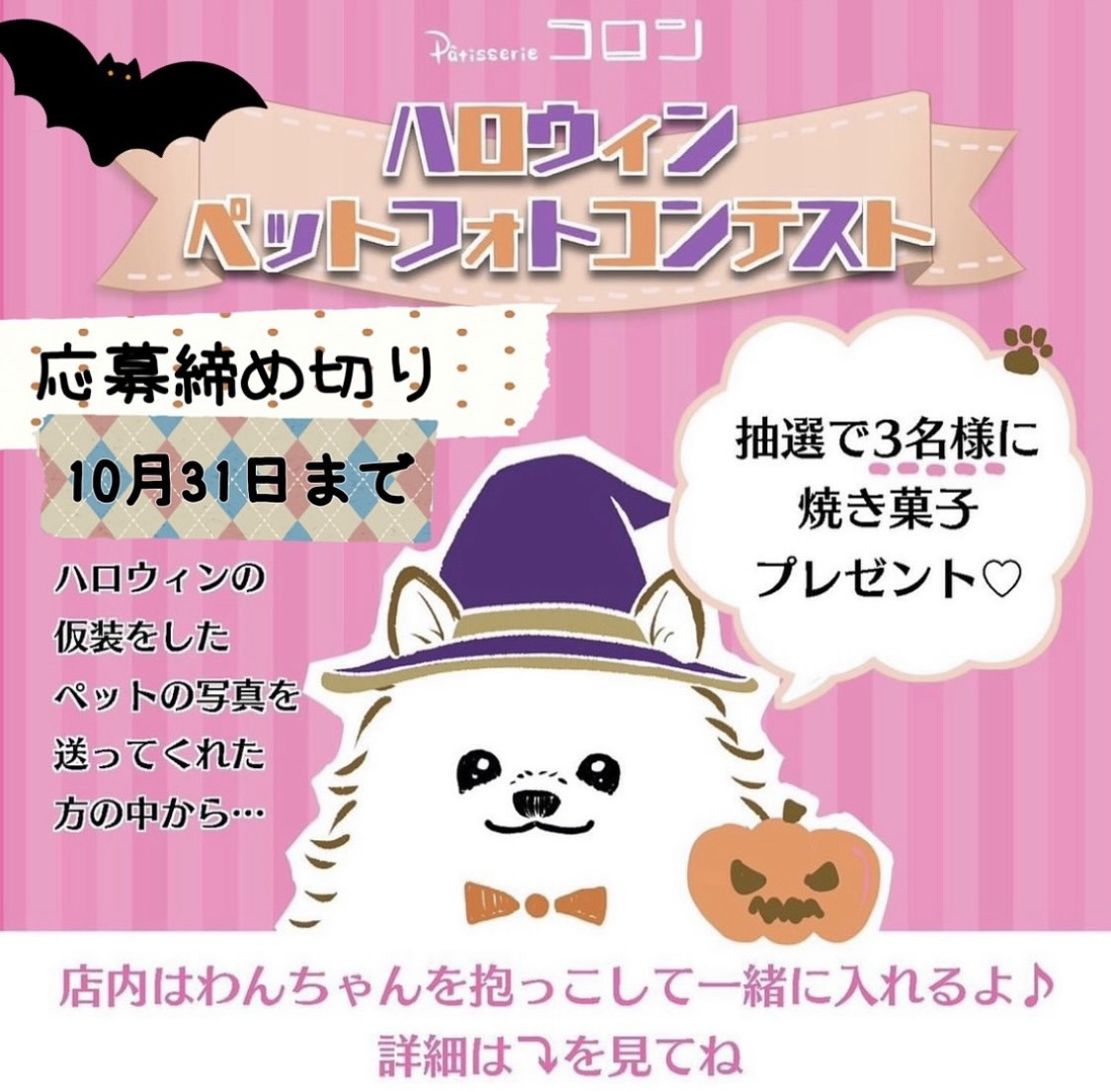 ハロウィンフォトコンテスト開催♪