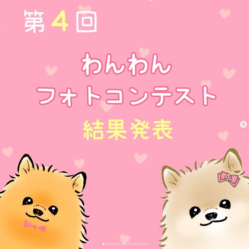 第4回わんわんフォトコンテスト結果発表♪