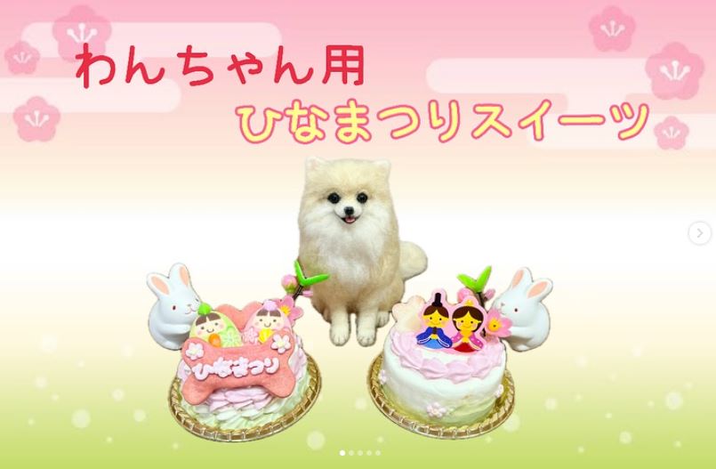 わんちゃん用ひなまつりケーキのご案内♪