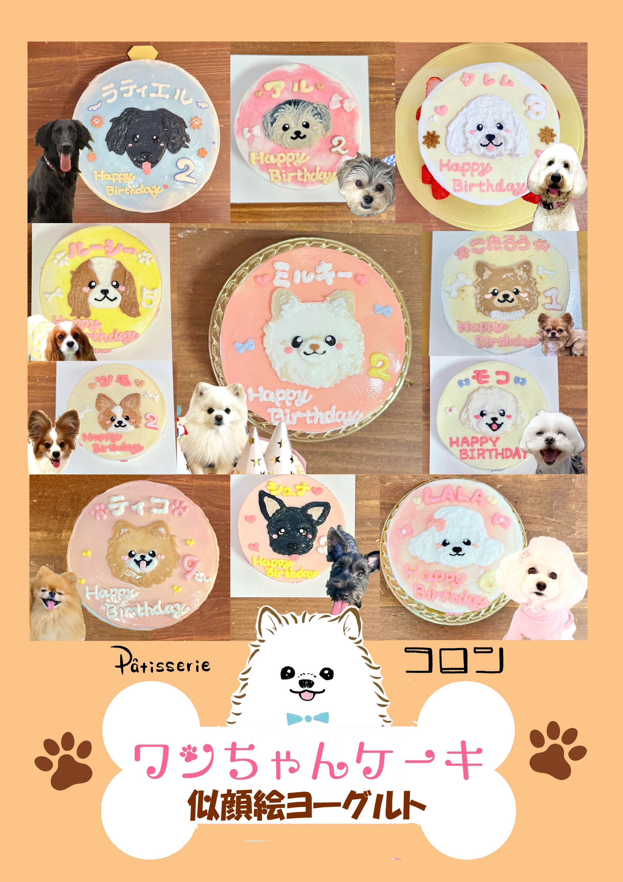 ワンちゃんケーキ販売しています♪