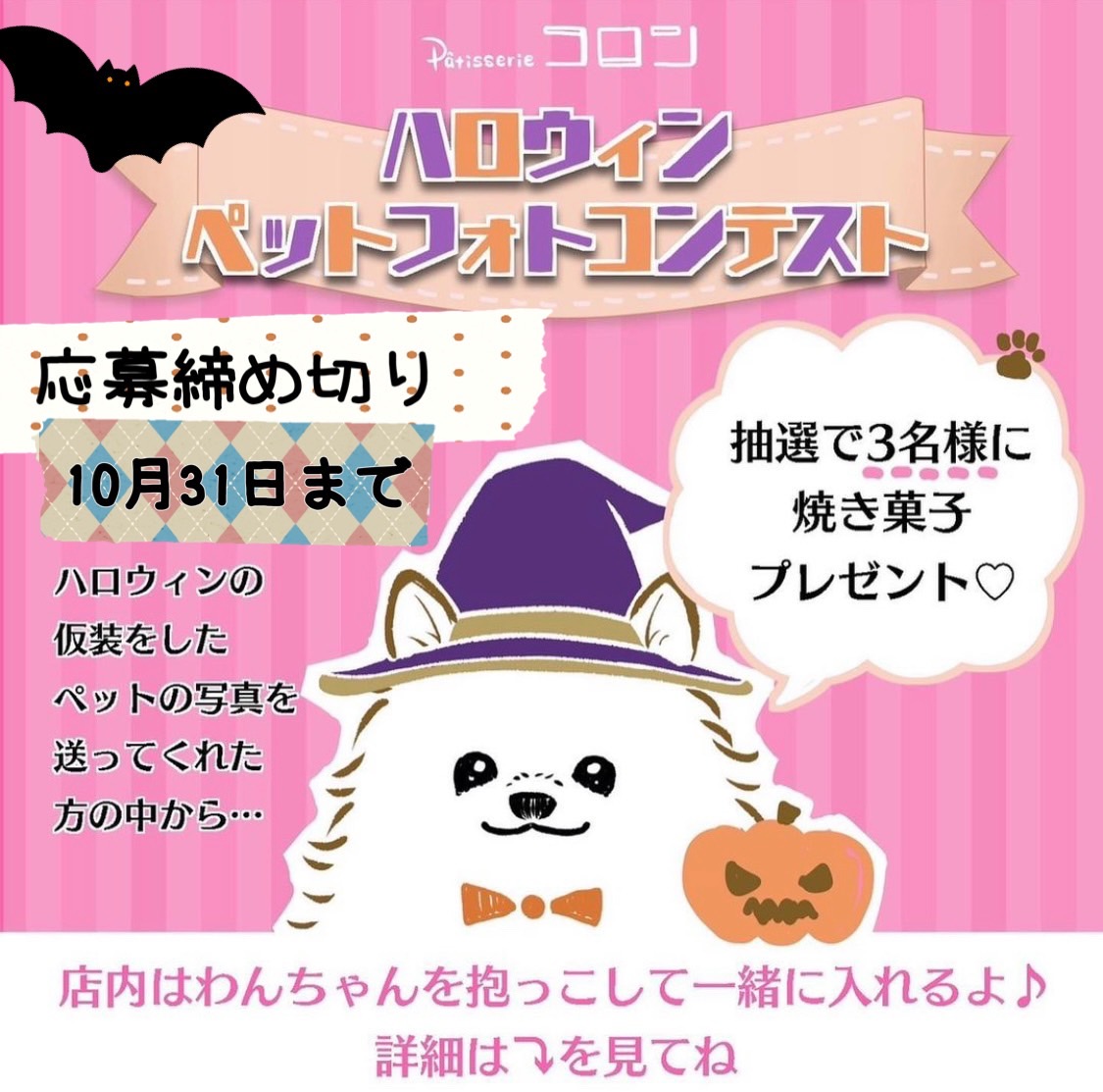 ハロウィンフォトコンテスト開催♪