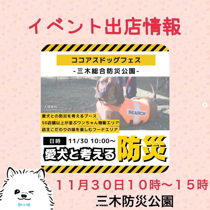11/30（土）ココアスドックフェス出店♪