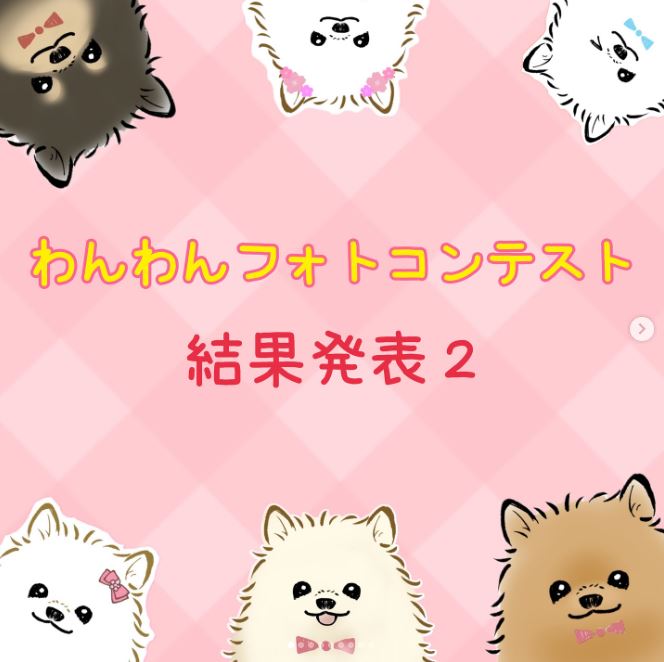 わんわんフォトコンテスト結果発表♪