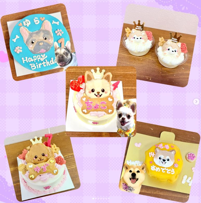 わんちゃん用似顔絵ケーキ＆オーダーケーキご予約受付中♪