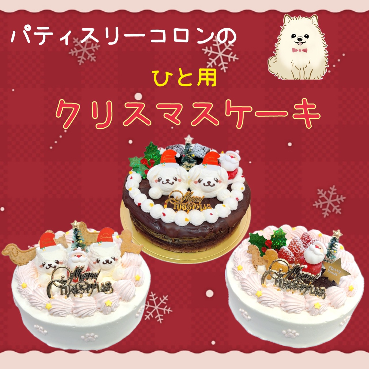 お人様用クリスマスケーキのご案内♪