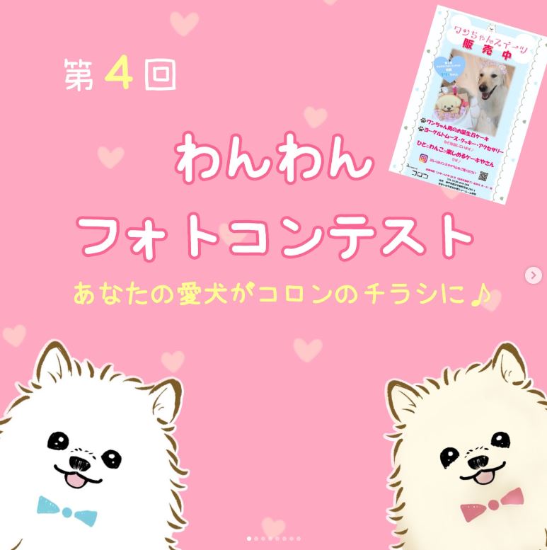 第4回わんわんフォトコンテストのご案内♪