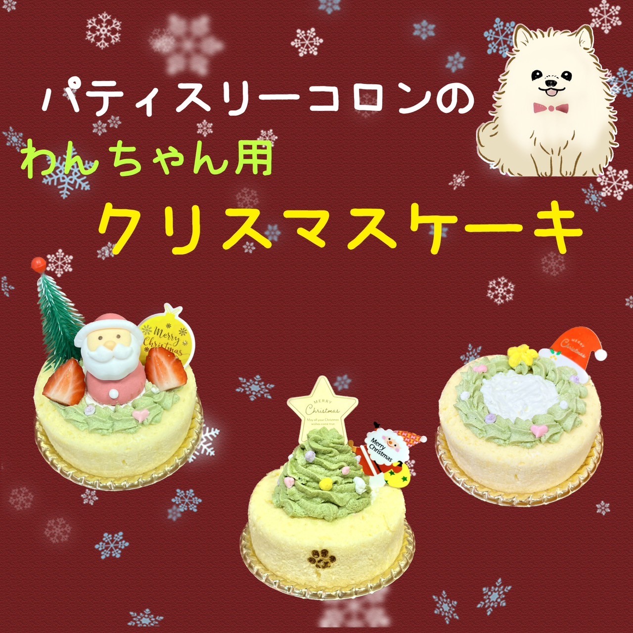 クリスマスケーキ予約受付中♪（わんちゃん用）