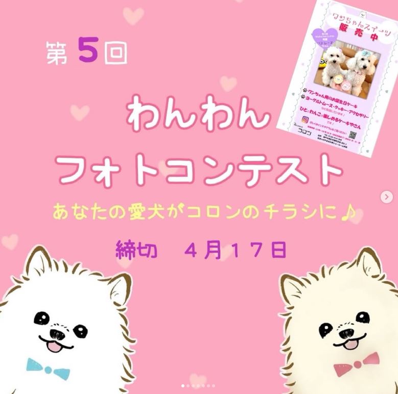 第5回わんわんフォトコンテストのご案内♪