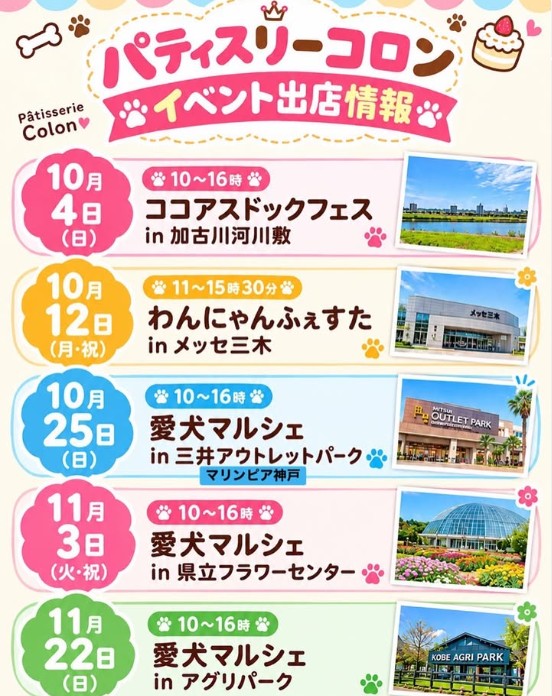 今後のイベント情報♪