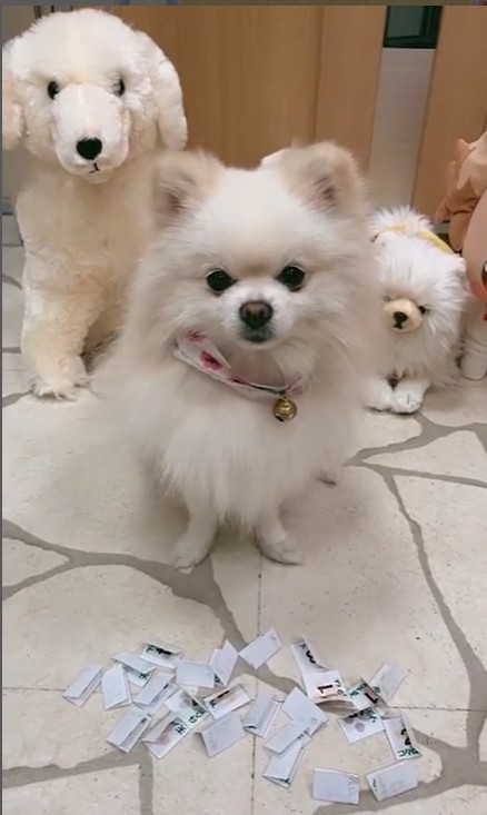 ハロウィンフォトコン4結果発表♪