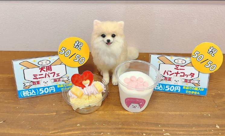 ★大谷翔平選手50/50記念★にくきゅうミニパンナコッタ・わんちゃん用紫芋ケーキ50円♪