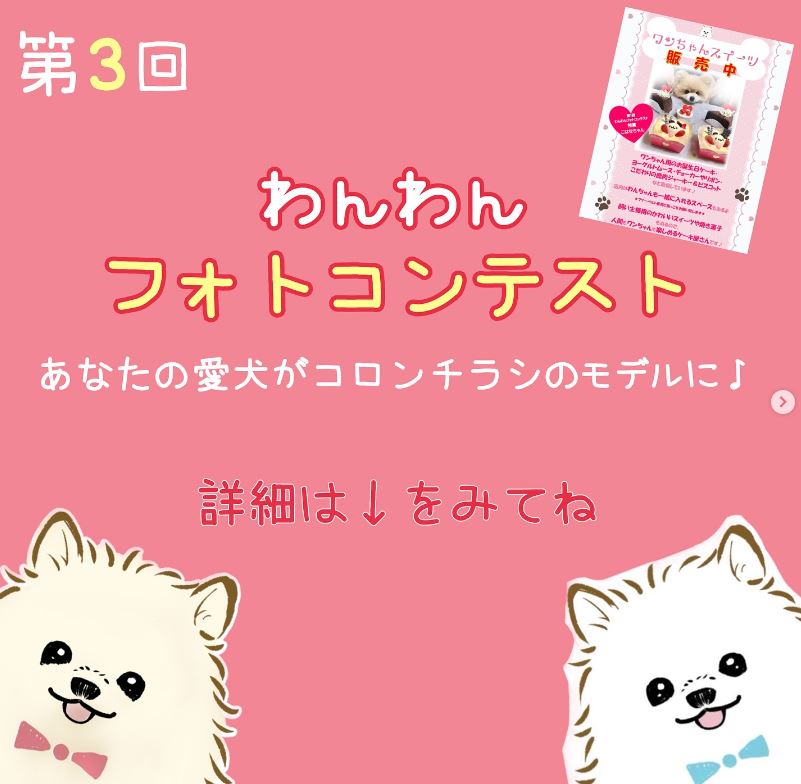 第3回わんわんフォトコンテストのご案内♪
