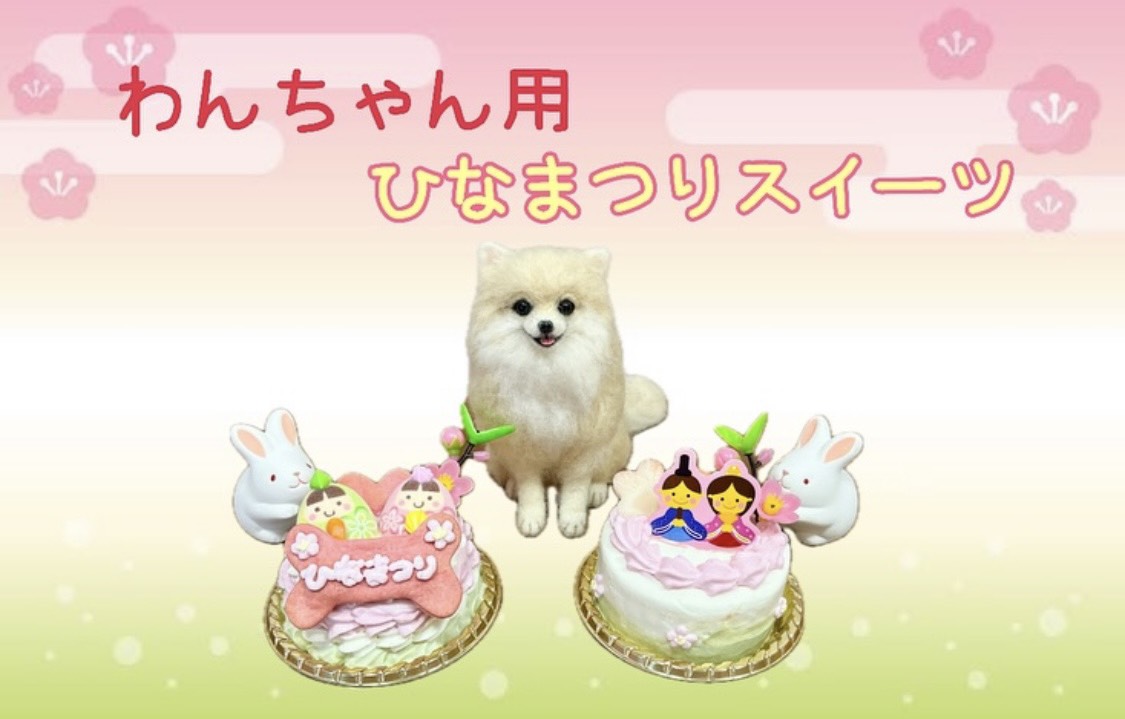 わんちゃん用ひなまつりケーキのご案内♪