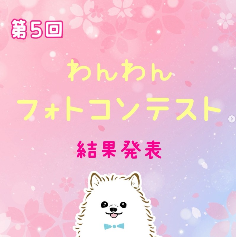 第5回わんわんフォトコンテスト結果発表♪