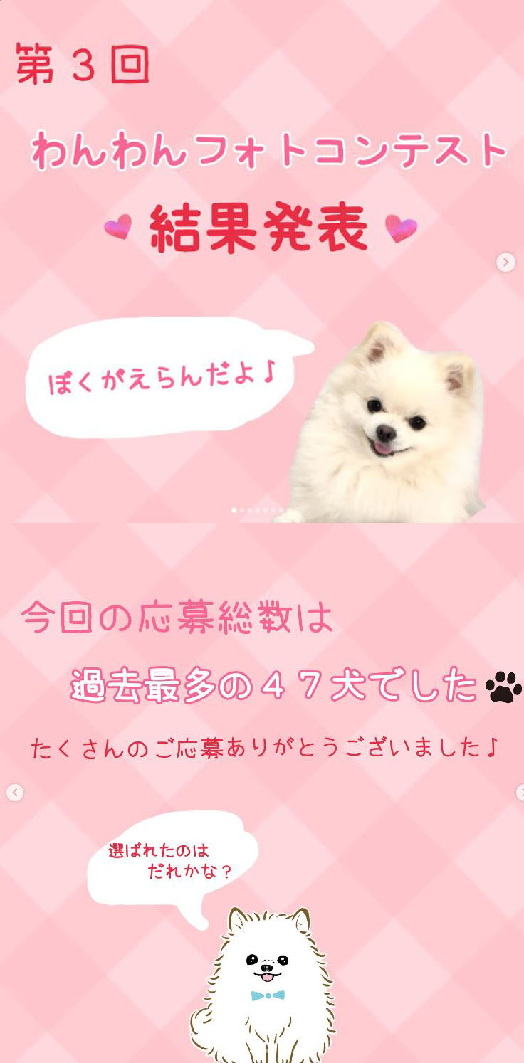 第3回わんわんフォトコンテスト結果発表～ぼくがえらんだよ♪