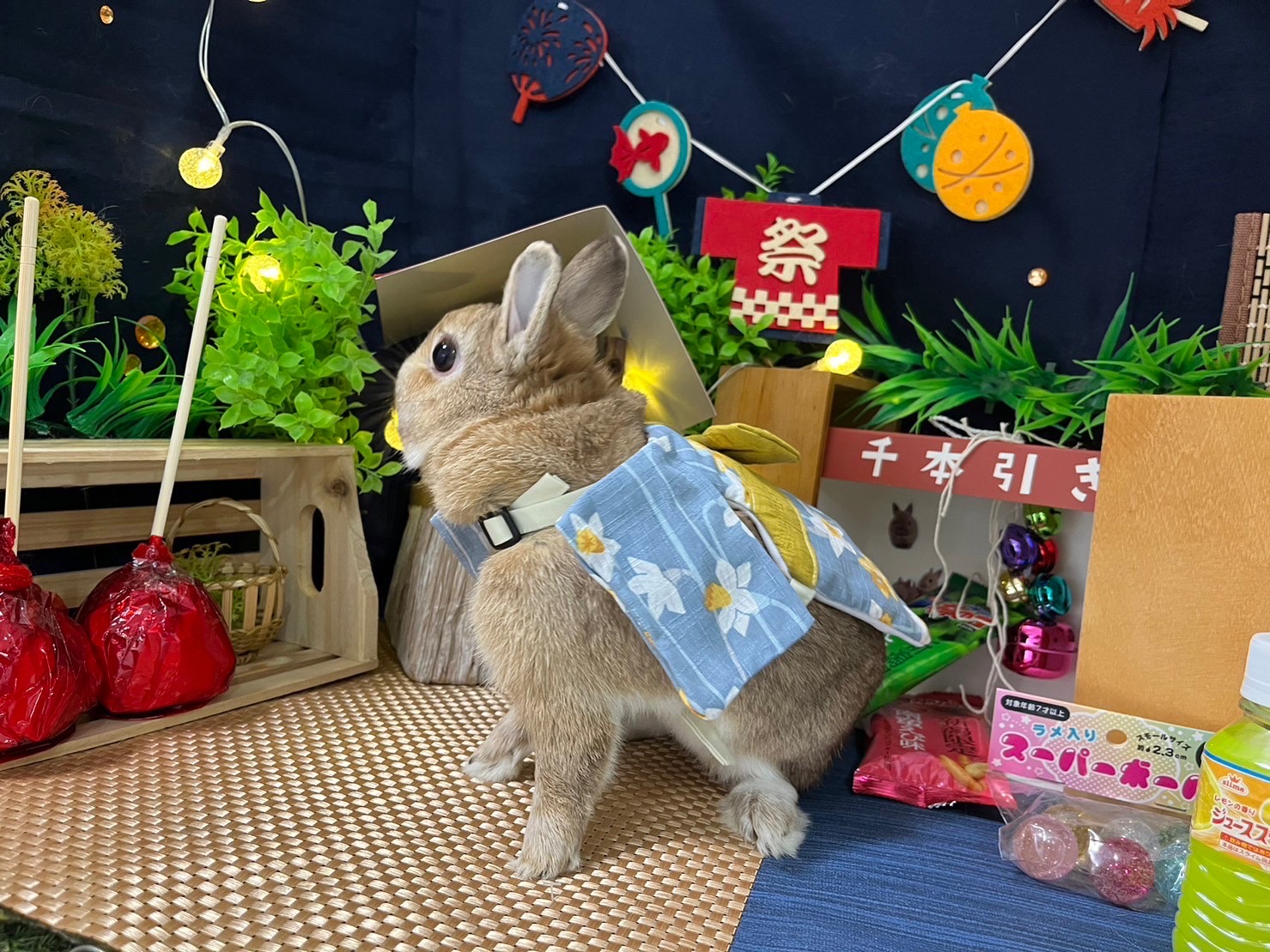 夏の思い出作りにいかがですか