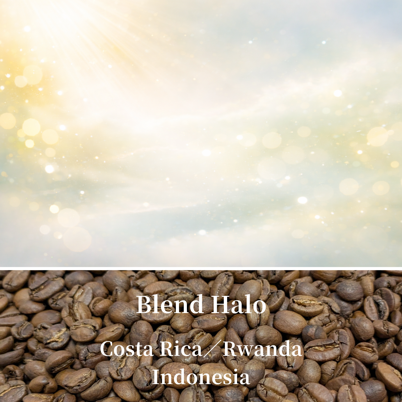 春〜初夏の期間限定、浅煎りブレンドをアップしました🌸