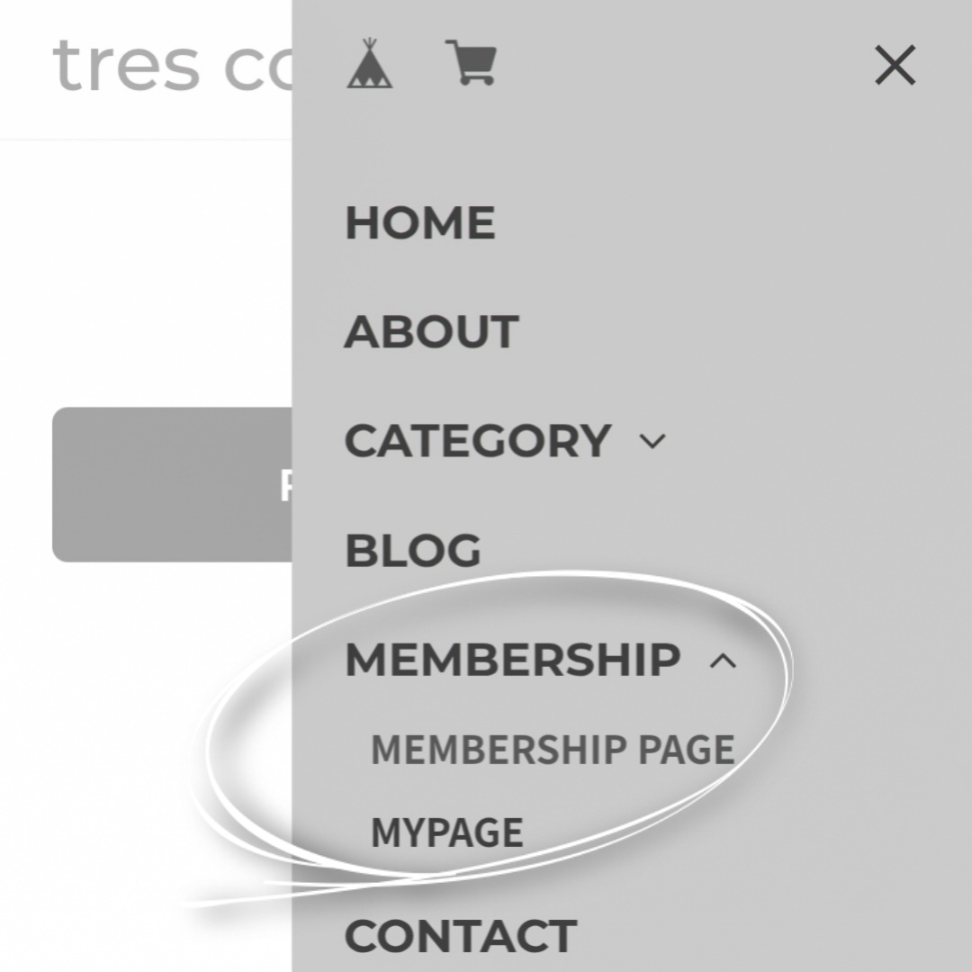 メンバーシップ始めました!