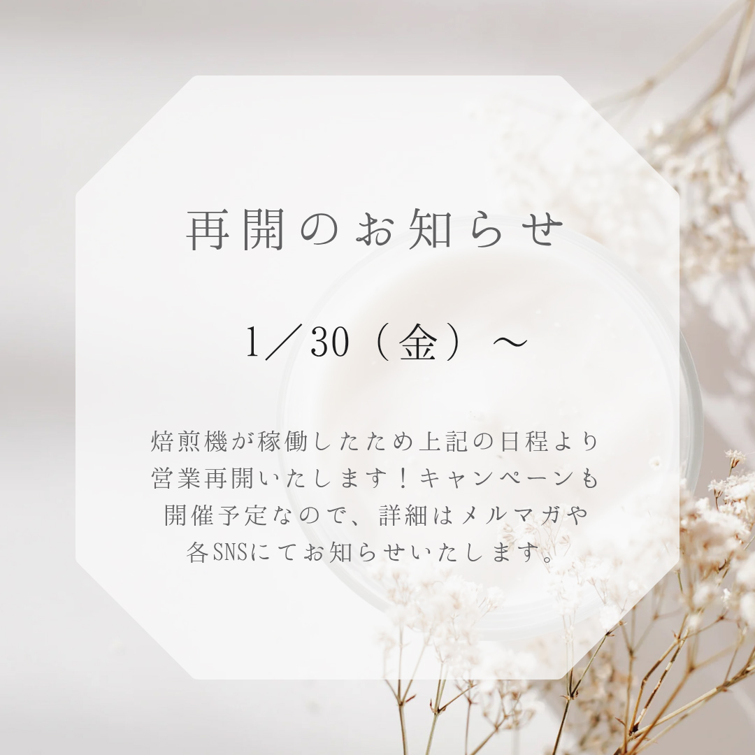 営業再開とキャンペーンのお知らせ