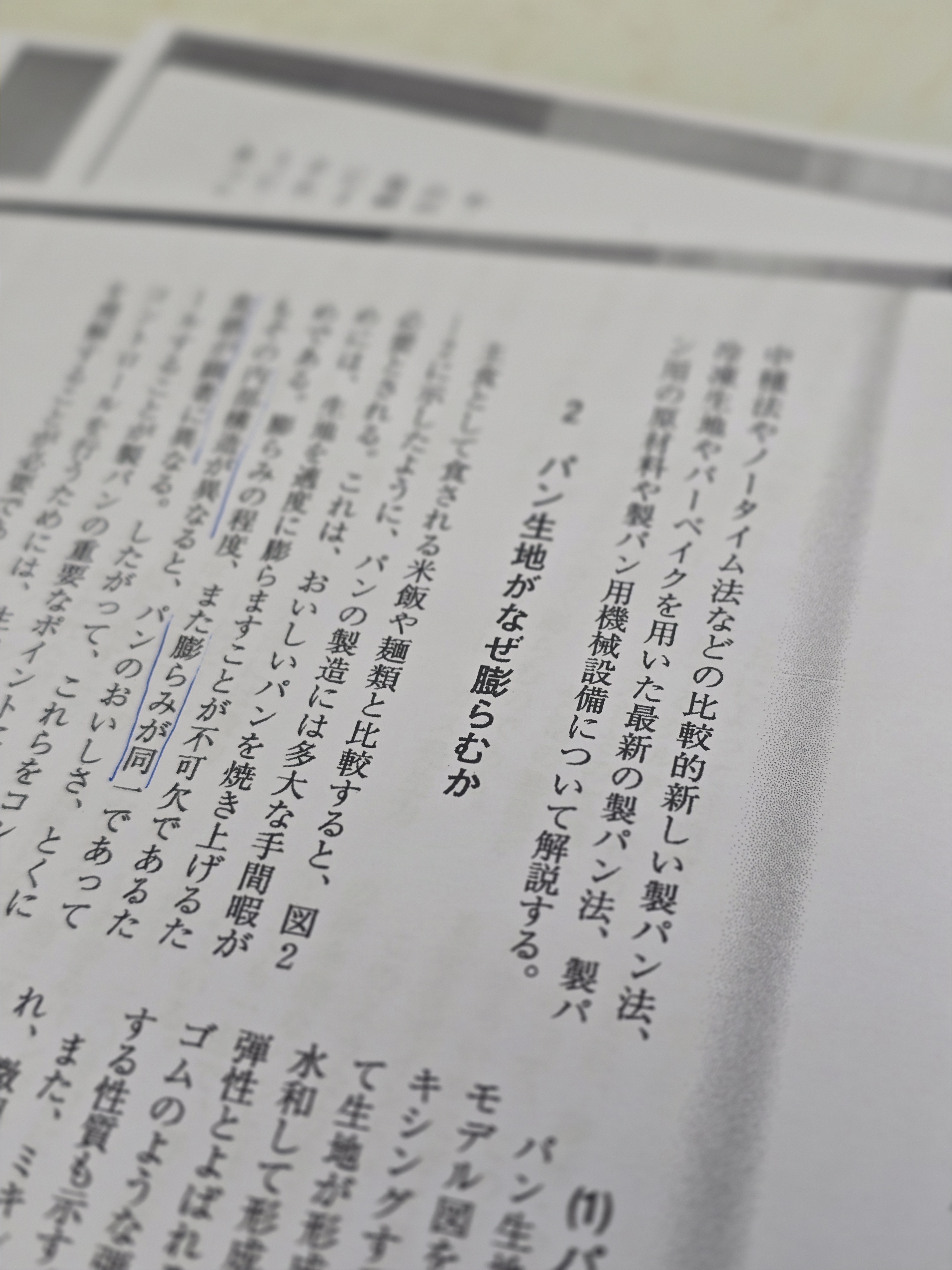 パンの中の世界