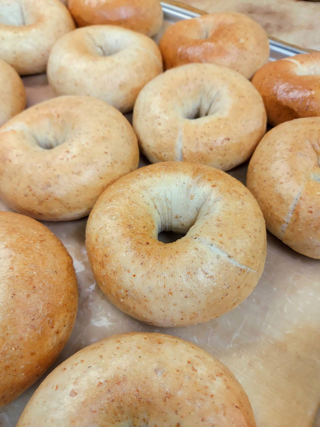 推します【全粒粉ベーグル】