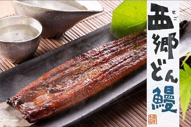 鹿児島産うなぎの新ブランド「西郷どん鰻」