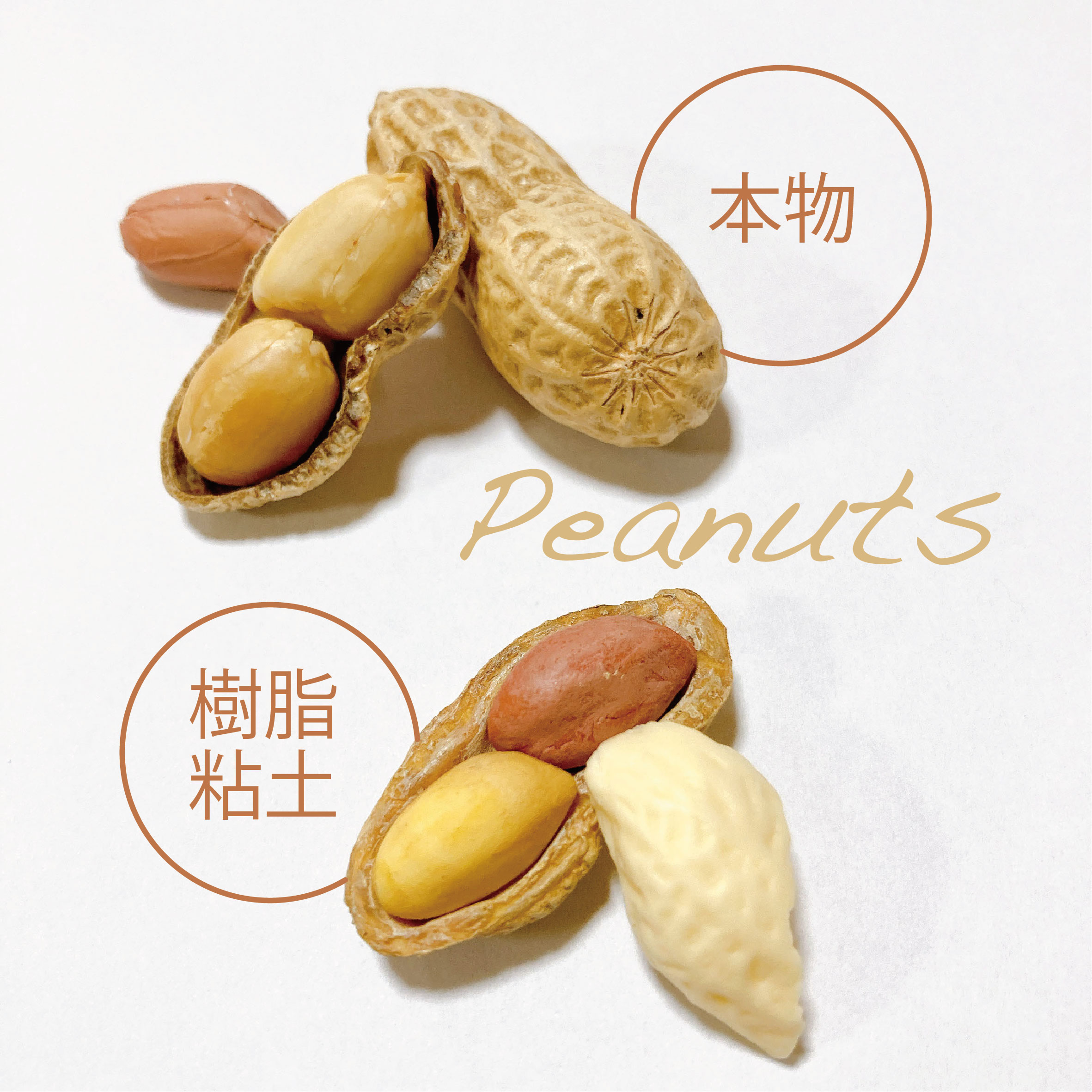 この春の新たな試み。