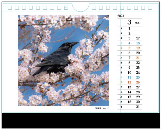 カラスカレンダー〈３月〉の作品をご紹介！