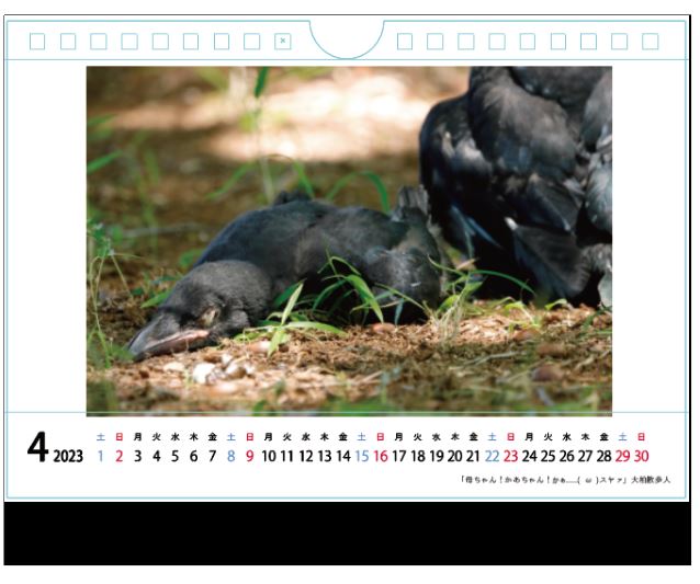 カラスカレンダー〈4月〉の作品をご紹介！
