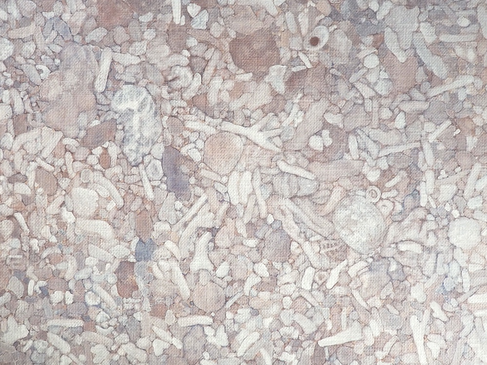 asamiru個展 「めぐる、はなればなれ」2026/3/7(土)〜29(日)