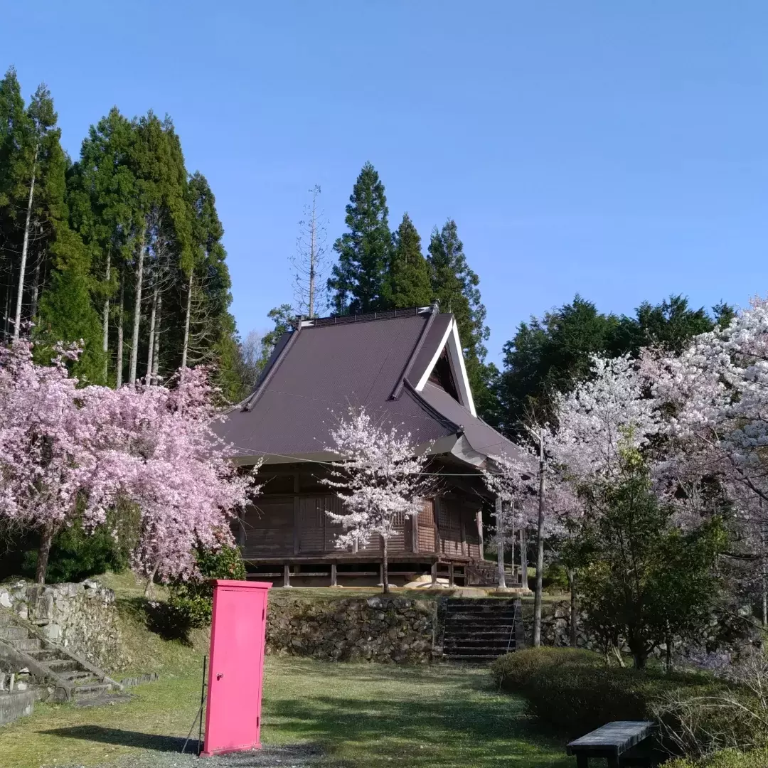 一年で最も美しい日の、寺カフェ福寿庵。