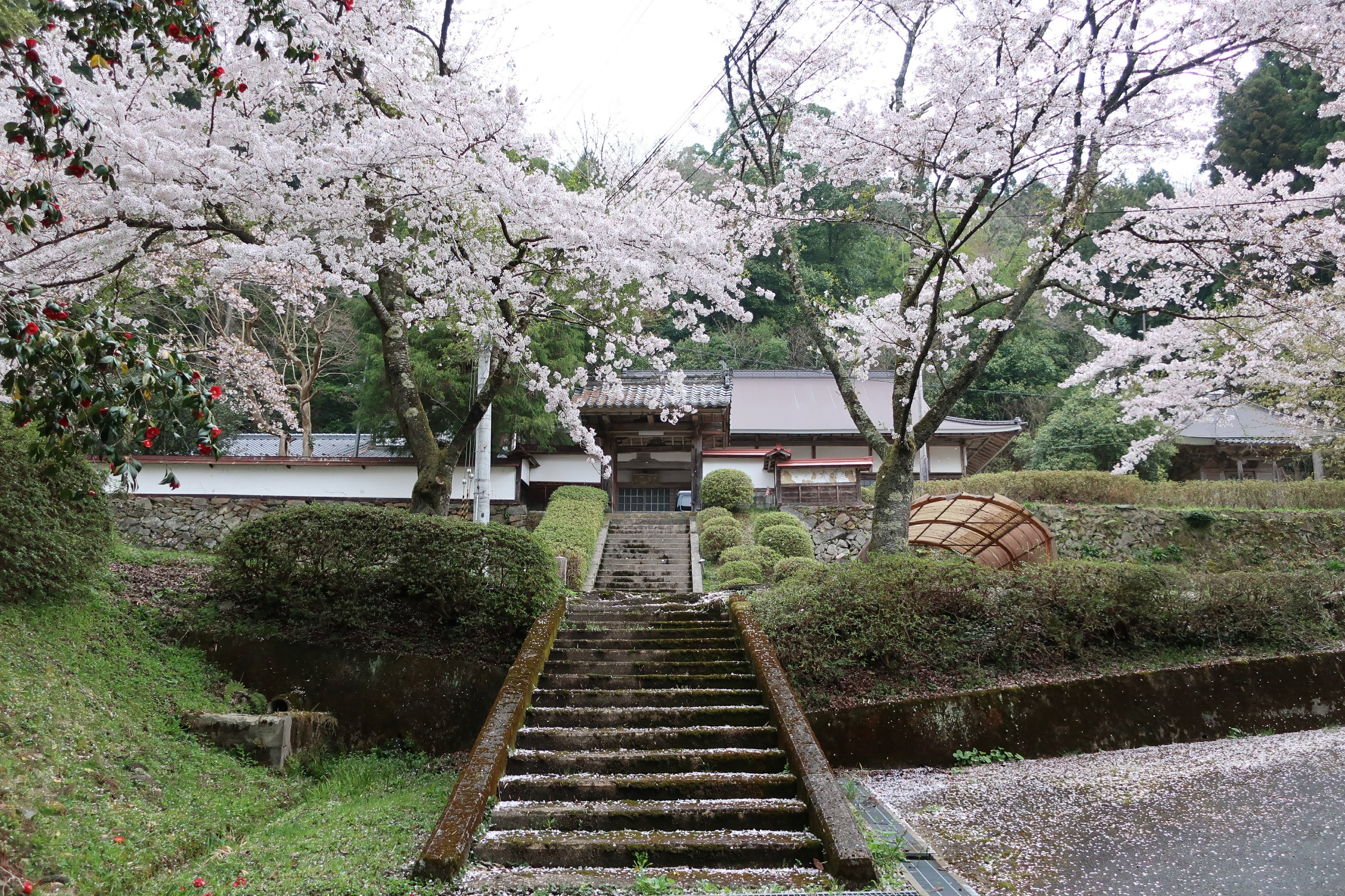 住職のダンナです。