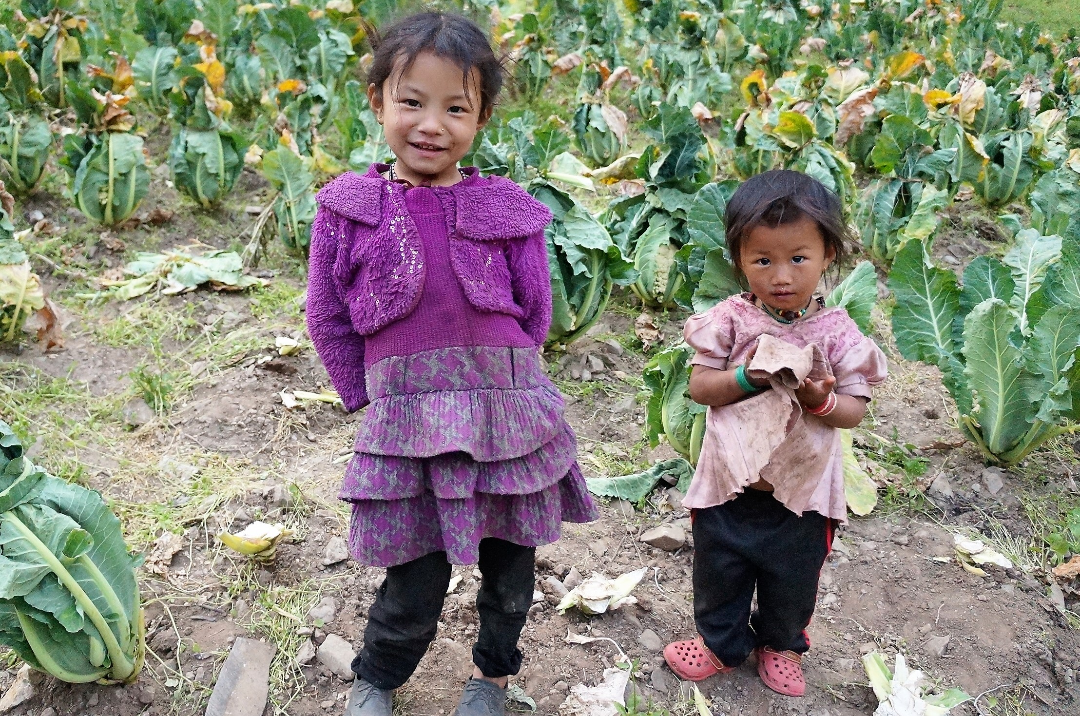 「ネパールの希望の光」コーヒー栽培