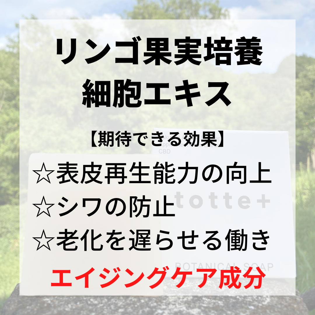 【リンゴ果実培養細胞エキスってお肌にいいの？】