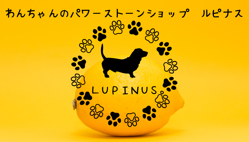 ご挨拶