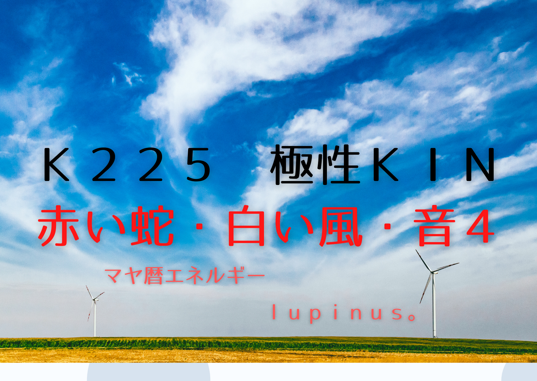 K２２５×極性KIN　極めていく事で拡がる日
