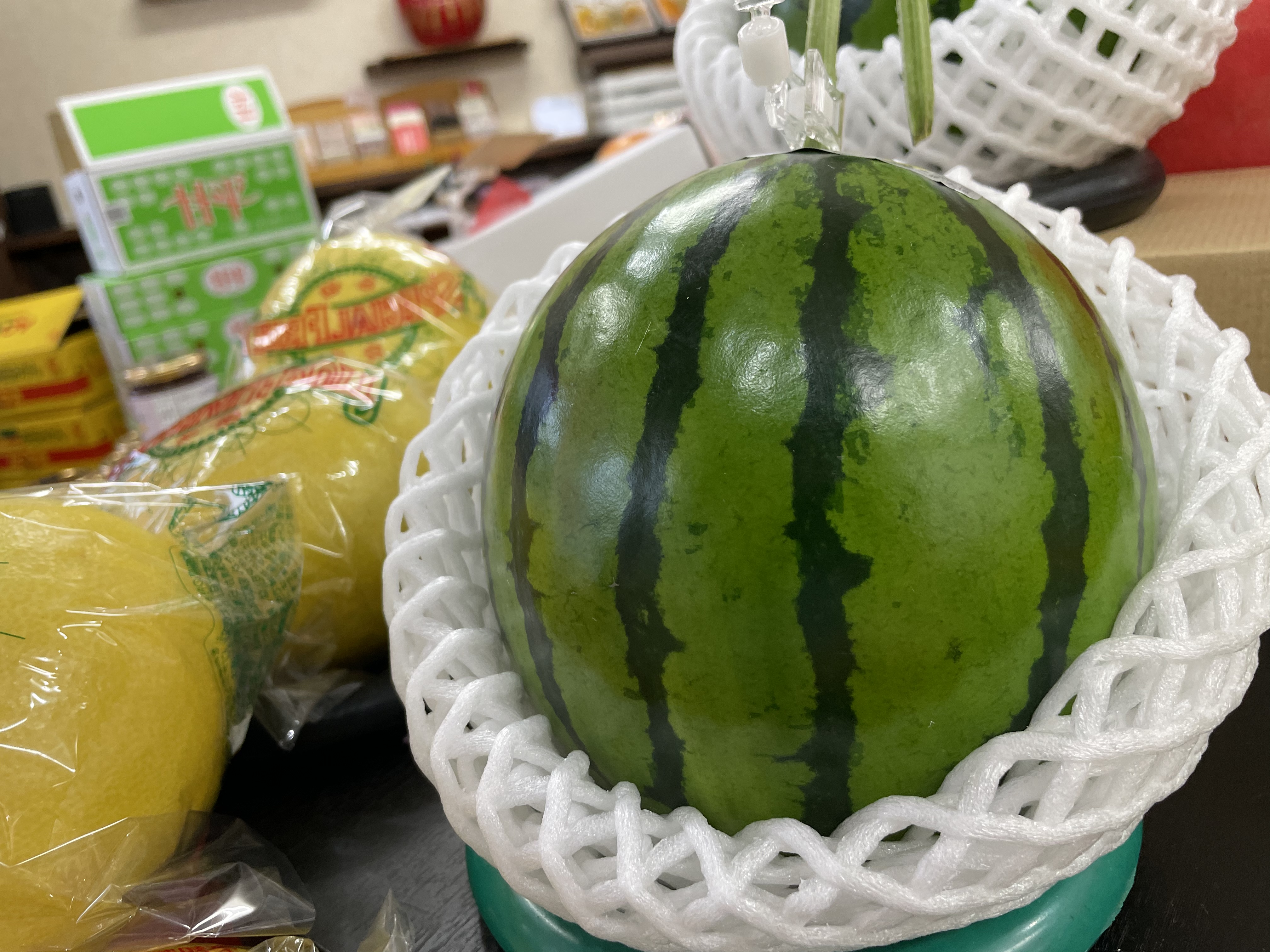 【夏の果物？？】えっすいか！？🍉( ﾟДﾟ)