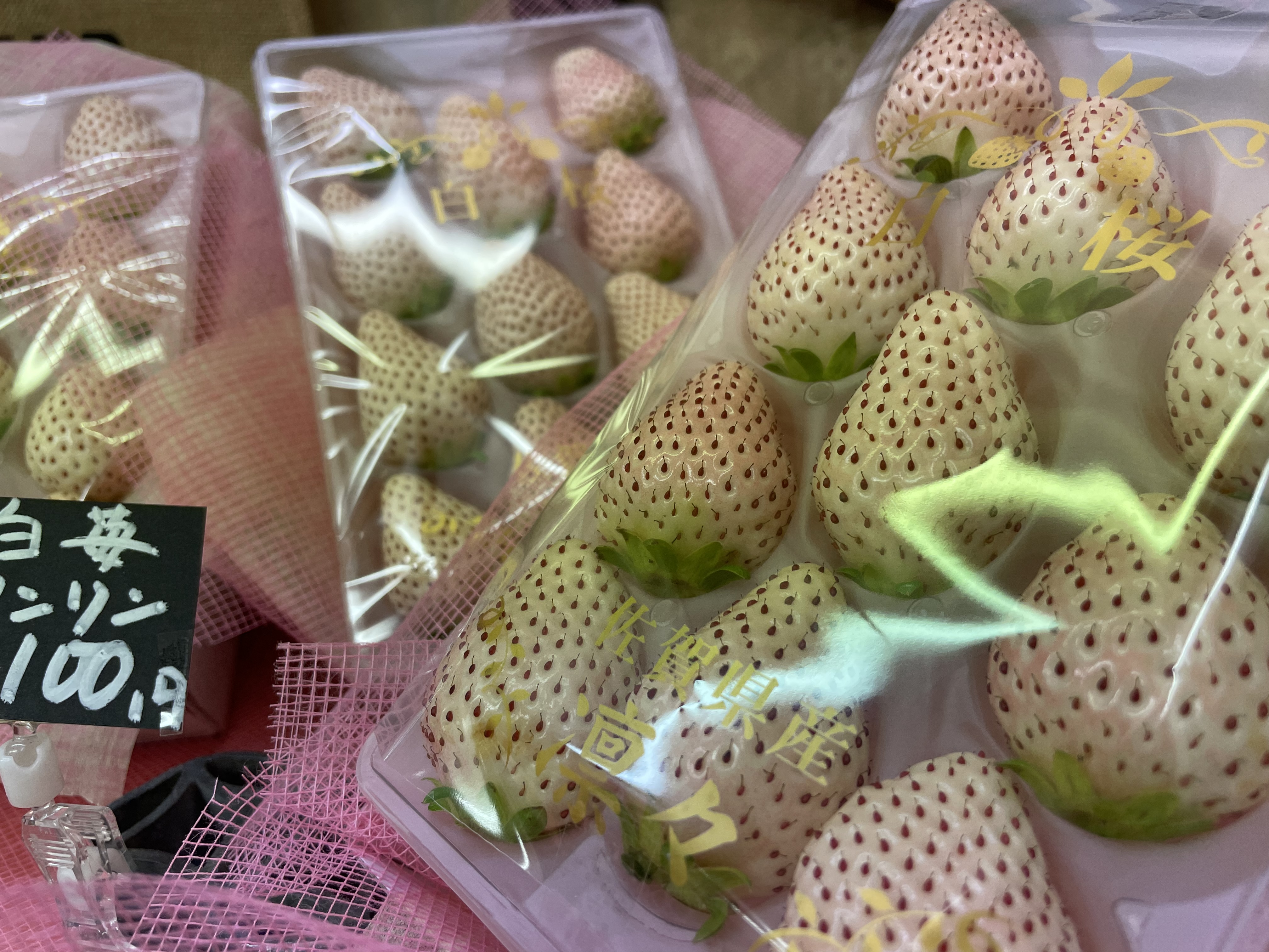 【ホワイトデー！🍓】タイミングばっちり！白いちご！🍓