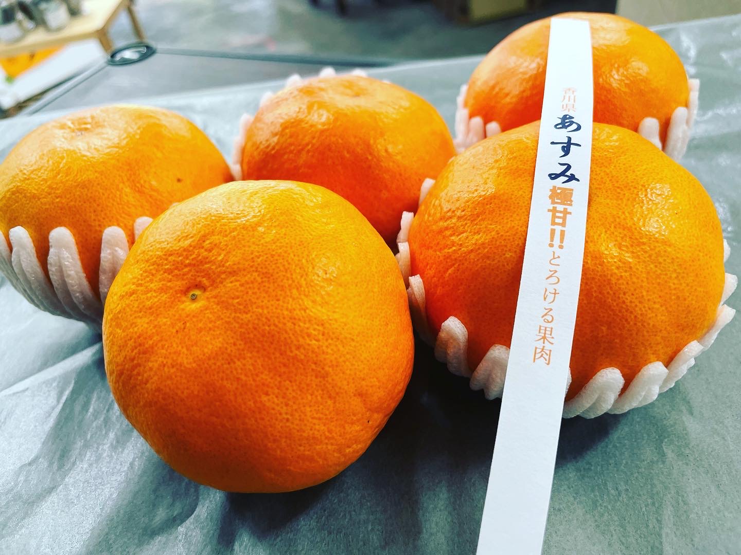 【糖度15度以上！？】魅惑の柑橘『あすみ』🍊