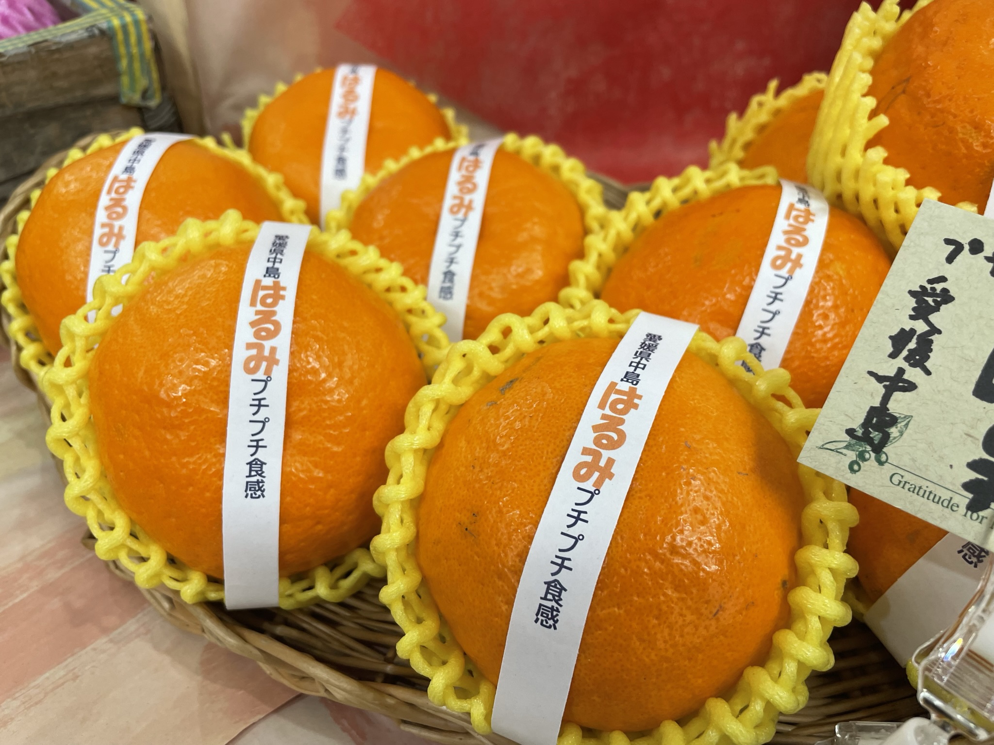 【柑橘！🍊】はるみみかん!(^^)!