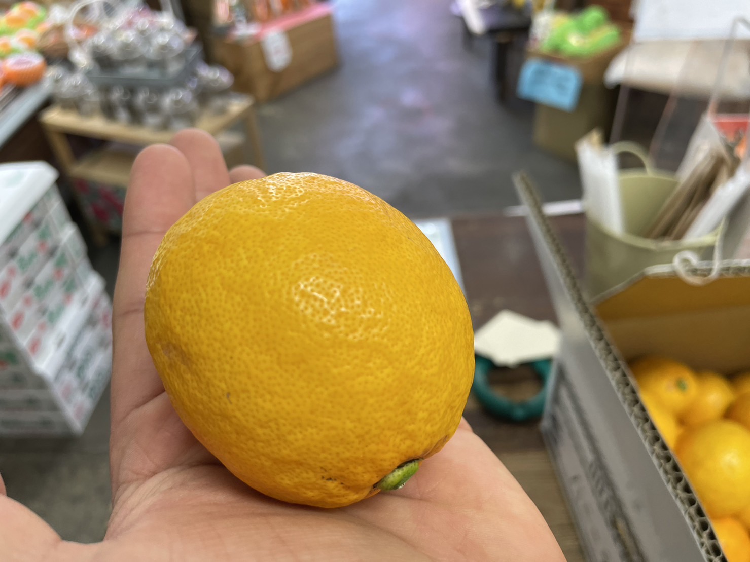 【食べるライム？！】なんだろなぁ(*‘∀‘)？