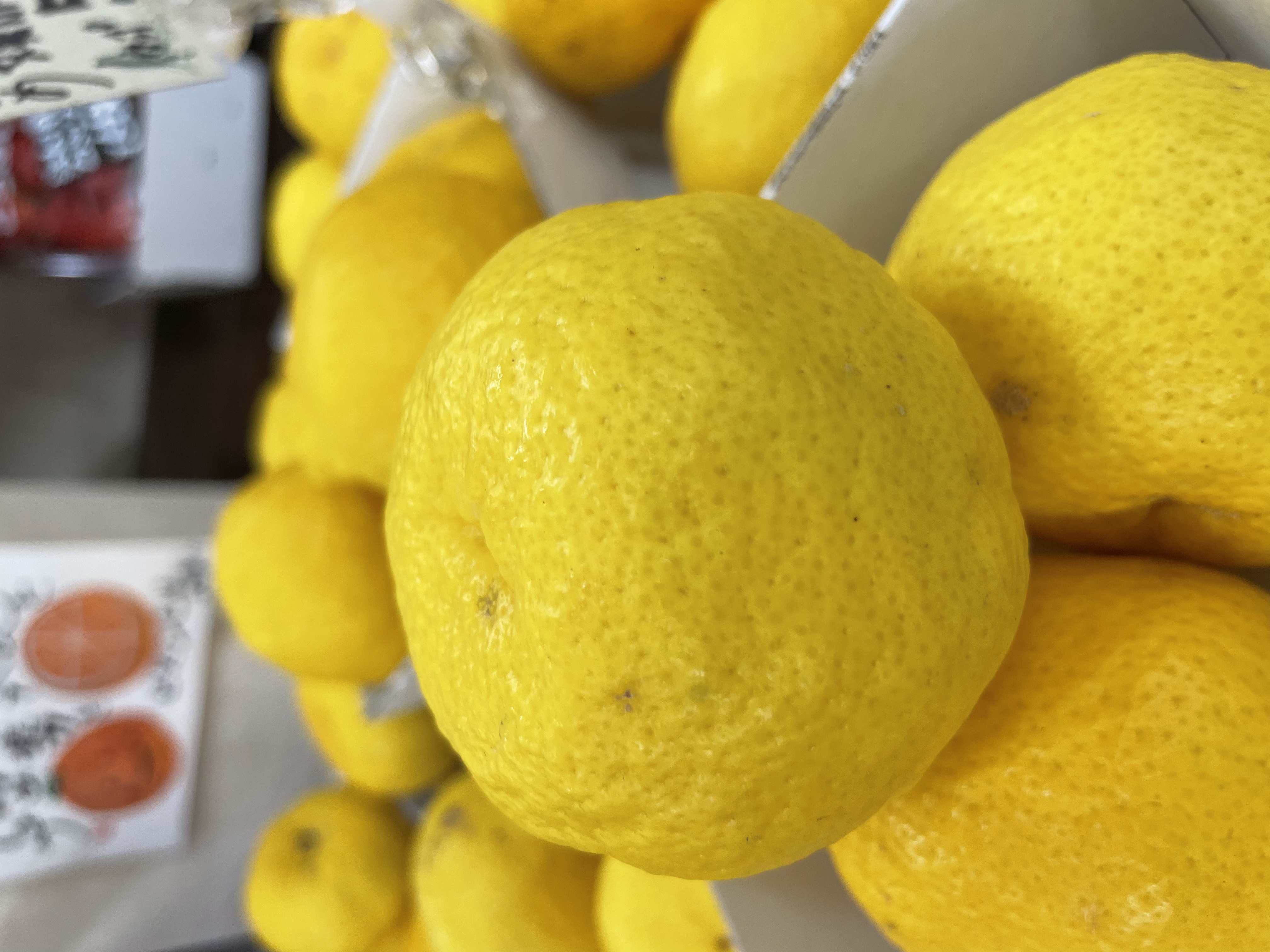 【超絶甘口！】見た目とは裏腹な驚きの甘さ！！🍊