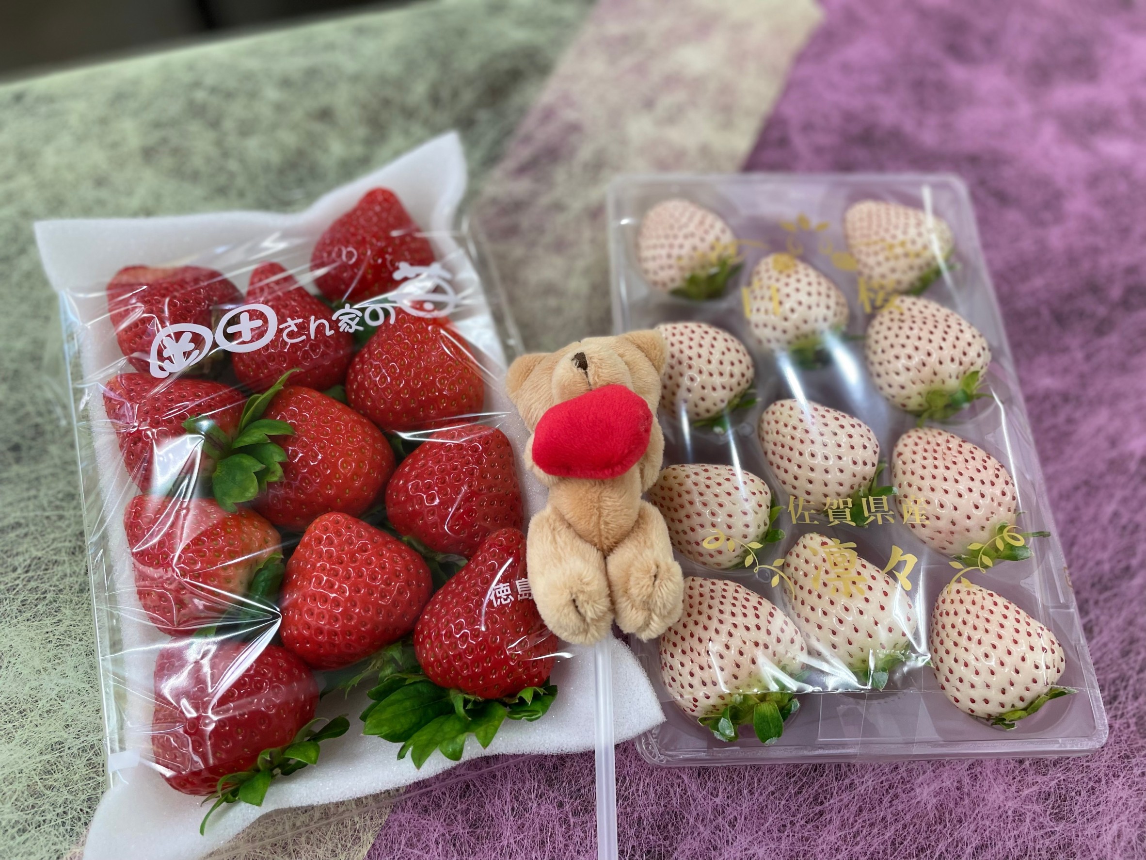 【新年】ブログはじめてみました❕