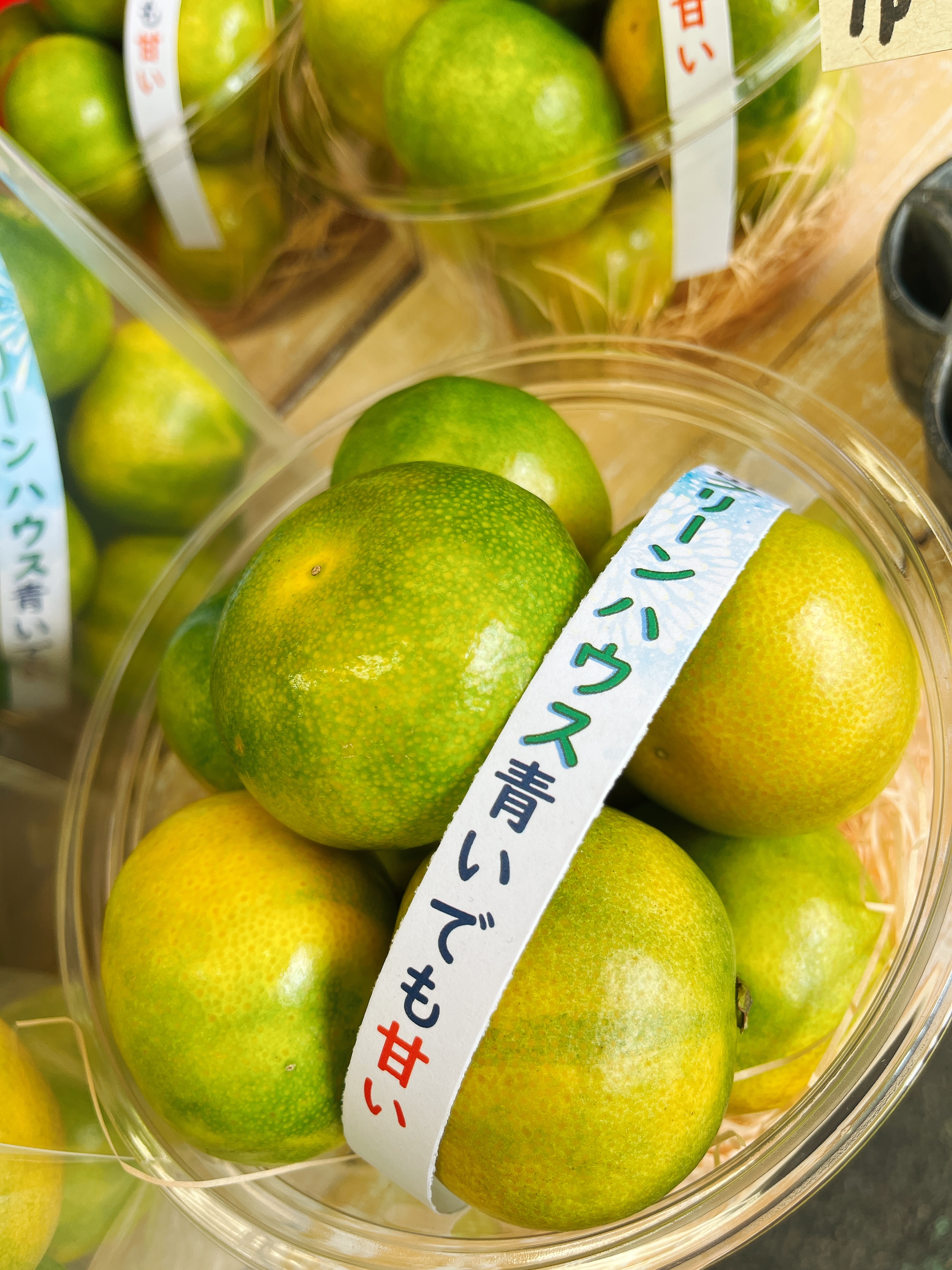 【青い、でも甘い！！！】和歌山グリーンハウス🍊