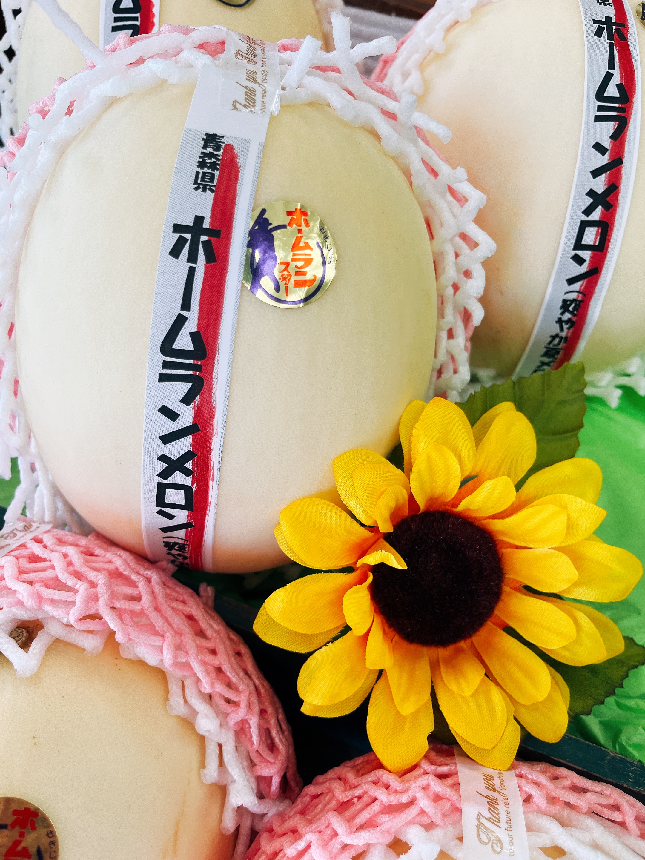 【見た目不思議なメロンと冷やして食べたいすいか！！】ホームランメロン🍈ピノガール🍉